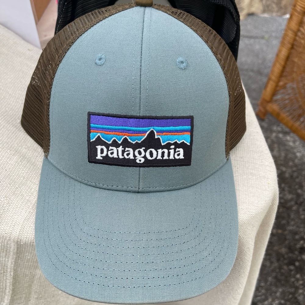 Patagonia Blue and Brown Trucker Hat